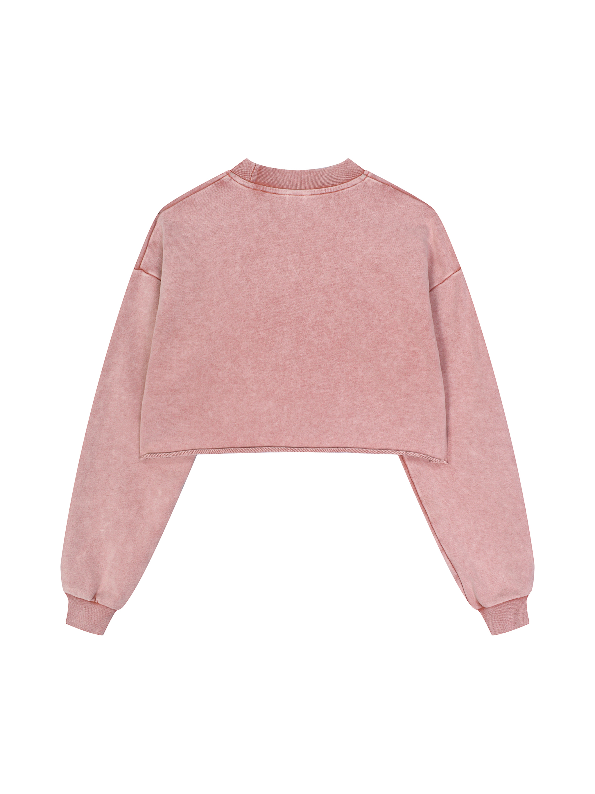 Snow Washed Hand-Frayed Crop Top – Vintage Streetwear | Tapstitch